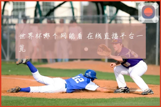 世界杯哪个网能看 在线直播平台一览
