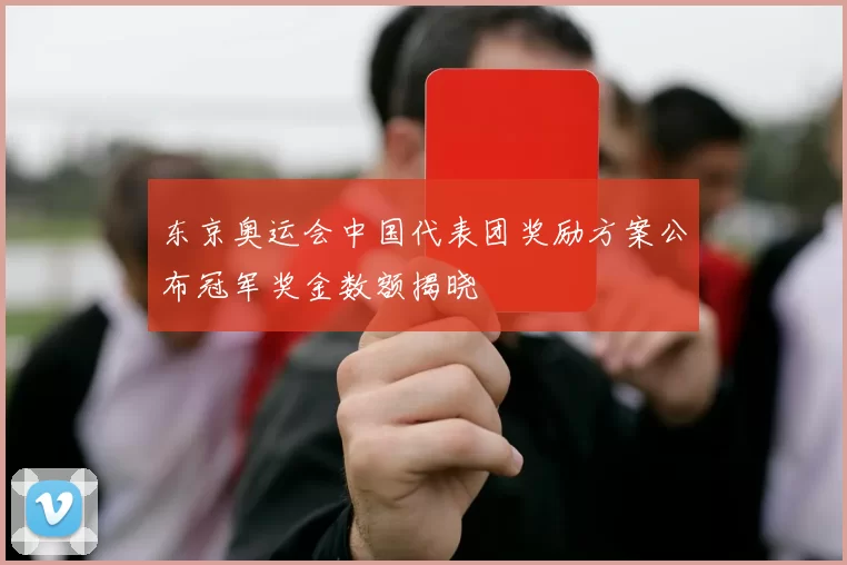 东京奥运会中国代表团奖励方案公布冠军奖金数额揭晓