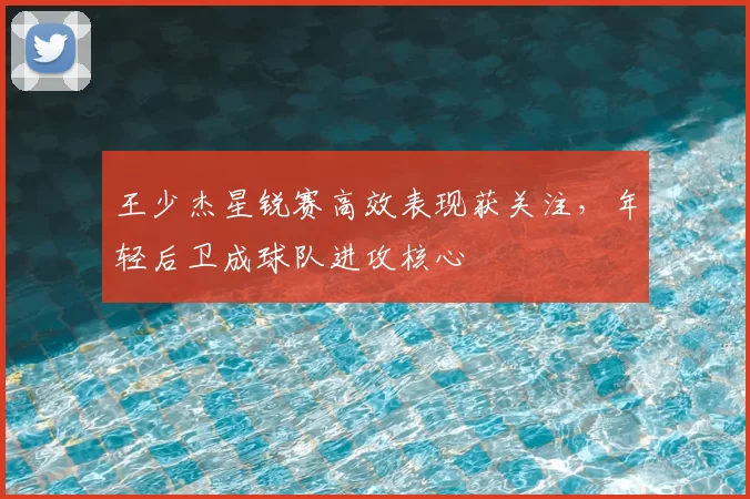 王少杰星锐赛高效表现获关注，年轻后卫成球队进攻核心
