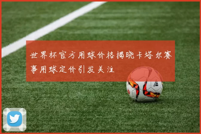 世界杯官方用球价格揭晓卡塔尔赛事用球定价引发关注