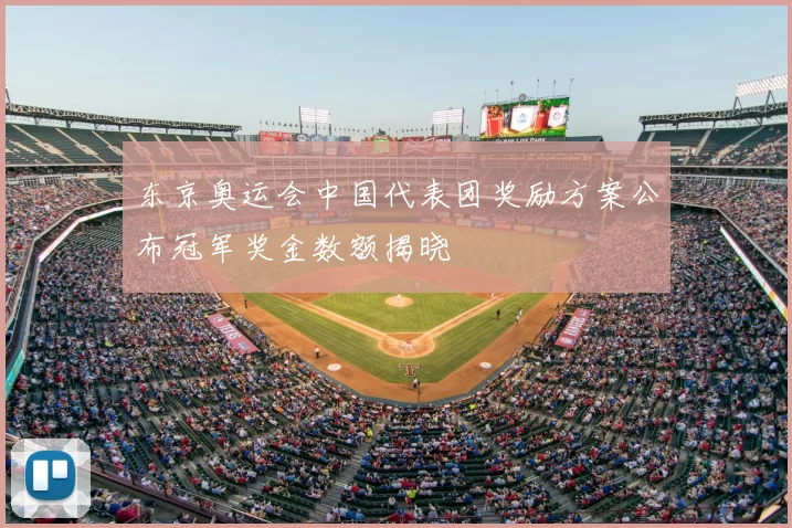 东京奥运会中国代表团奖励方案公布冠军奖金数额揭晓