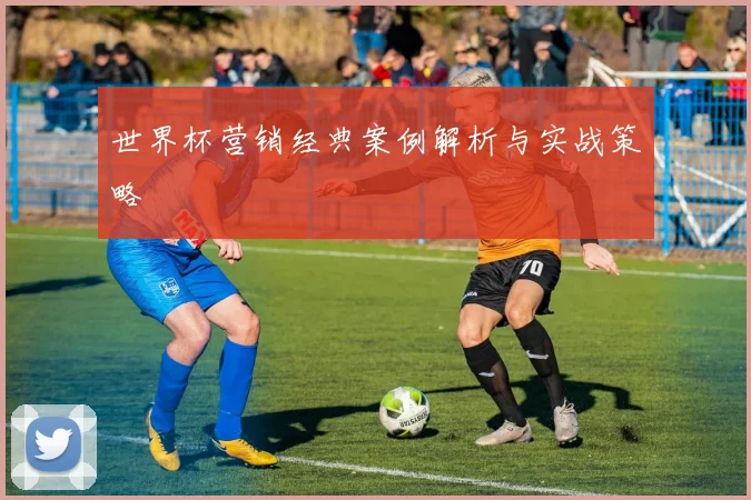 世界杯营销经典案例解析与实战策略