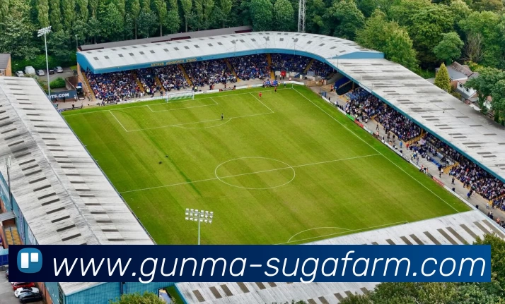 多媒体互动体验